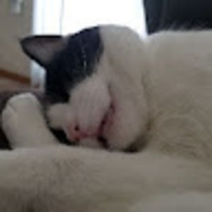 Meet your Posher, Sabrina joy